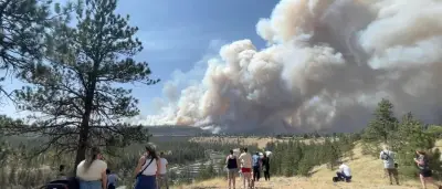 Waldbrände bei Spokane: 700 Gebäude zerstört, 64.000 fliehen