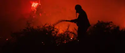Waldbrände: Griechenland kämpft, Frankreich atmet auf