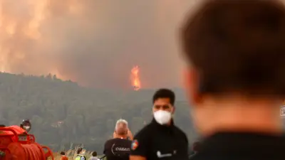 Waldbrände in Europa: Südfrankreich evakuiert, Athen in Alarm