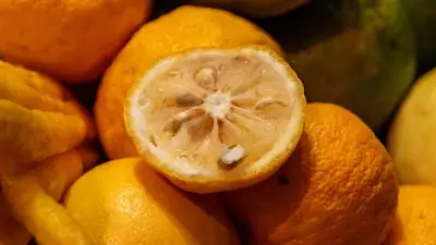 Yuzu: Seltene Zitrusfrucht mit einzigartigem Aroma