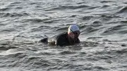 160 km ohne Pause: Pole durchschwimmt die Ostsee