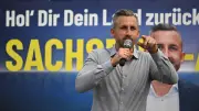 AfD-Programm Sachsen-Anhalt: Milliardenlücke laut IWH-Studie