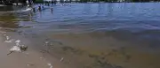 Algen und Saugwürmer: Wo bleibt der Pool im Lustgarten?