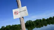Badeverbot am Buga-See in Kassel wegen Blaualgen verhängt
