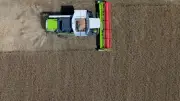 Bayern: Landwirtschaftsfläche schrumpft weiter