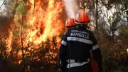Drohen Waldbrände wie in Südeuropa bald auch in Deutschland?