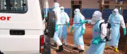 Ebola-Ausbruch im Kongo: WHO meldet neue Rekordzahlen