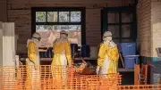 Ebola im Kongo: WHO meldet Rekordwoche mit 567 Neuinfektionen
