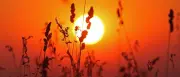 Extremwetter am Dienstag: Bis zu 38 Grad und heftige Gewitter erwartet