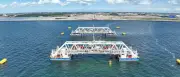 Fehmarnbelt-Tunnel: Drittes Tunnelelement auf Ostseegrund abgesenkt