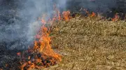 Feueralarm in Baden-Württemberg: Mehrere Brände im Südwesten