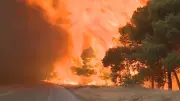 Feuerwalze bedroht Athen – Griechenland kämpft gegen Flammen