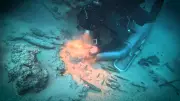 Goldschatz in der Adria: Byzantinisches Wrack vor Mljet entdeckt