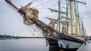 Hanse Sail Rostock: 120 Schiffe aus sieben Nationen erwartet
