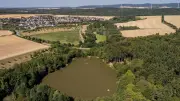 Hessens Fische leiden unter Hitzestress in Angelteichen