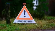 Jagdunfall in Barßel: Jäger nach Schrotkorn-Treffer verurteilt