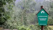 Kretschmer nach tödlichem Unwetter: Ich leide mit den Menschen