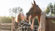 Mag mich mein Pferd wirklich? Experten erklären Verhalten