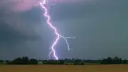 Mittelhessen: Schwere Gewitter – Bäume umgestürzt, keine Verletzten