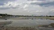 Niedrigwasser im Rhein: Wirtschaftswachstum in Gefahr