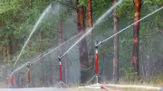 Regen bringt kurze Entspannung bei Waldbrandgefahr in Sachsen