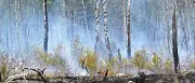 Regen löscht Brand auf ehemaligem Militärgelände in Jüterbog