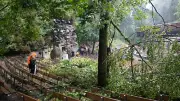 Sächsische Schweiz: Hoffnung auf schnelle Normalisierung nach Unwetter