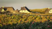 Sylt: Immobilienangebot versechsfacht sich seit 2022