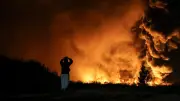 Ukraine-Krieg: Drohne nahe Flugzeug in Leipzig, 14 Tote in Kiew