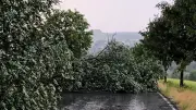 Unwetter in Bayern: Wo am Dienstag Gewitter drohen
