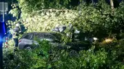 Unwetter in Deutschland: Baum stürzt auf Auto – Großfamilie hat Glück