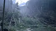 Unwetter in Sächsischer Schweiz: Toter und zerstörte Wander-Oase