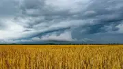 Unwetter und Wärmebelastung: Bis 36 Grad in Berlin und Brandenburg