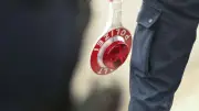 Verfolgungsjagd: Autofahrer flieht vor Polizei und prallt gegen Baum