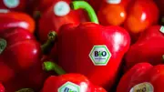 Vitamin C: Diese Lebensmittel enthalten besonders viel