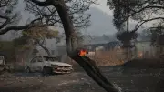 Waldbrand bei Athen: Flammen nähern sich Megara