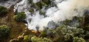 Waldbrand in Niederlanden: 100 Hektar in Flammen nahe NRW
