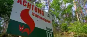 Waldbrandgefahr in Brandenburg steigt wieder an – Stufe 3 fast überall