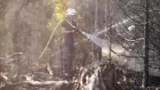 Waldbrandgefahr in Hessen: Hohe Warnstufe in vielen Regionen
