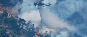 Waldbrände bei Athen: Feuerwehr meldet weitgehende Kontrolle