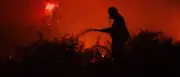 Waldbrände: Griechenland kämpft, Frankreich atmet auf