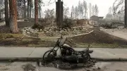 Waldbrände in Washington: Tausende müssen Spokane verlassen