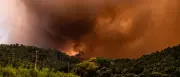 Waldbrände und Klimapolitik: Kolumnistin sieht Bewegung bestraft