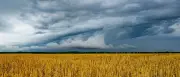 Wetter in Berlin und Brandenburg: Unwetter und Wärmebelastung am Dienstag