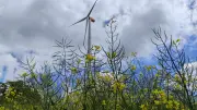 Windpark Bobingen: Klage wegen Naturschutz geplant