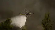 Zwei Piloten sterben bei Waldbrand-Einsatz in Griechenland